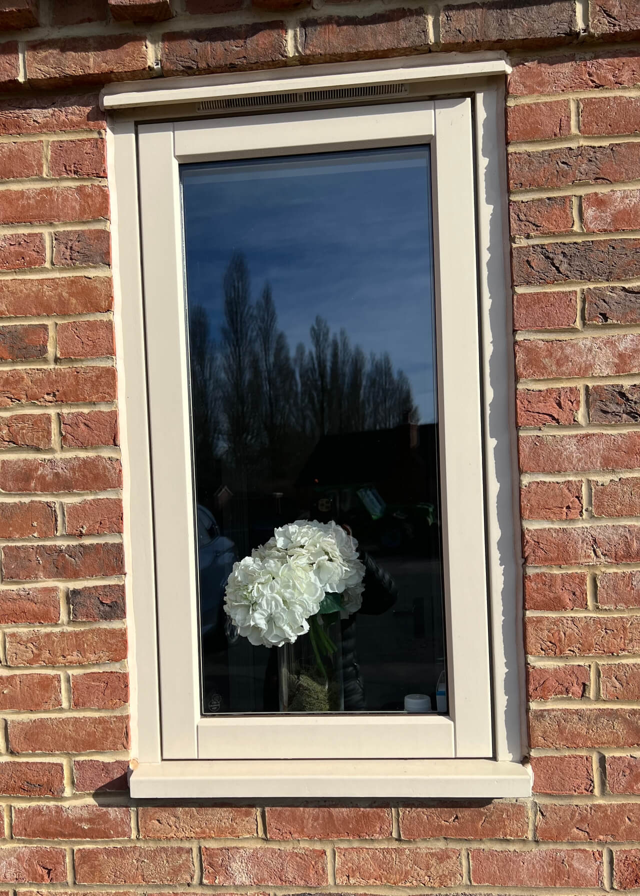 Painted hardwood traditional window Painted hardwood traditional window